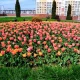 Алматыда 18-24 мамыр аралығында ауа райы қандай болады