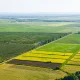 Майлы дақылдар көп, бидай аз: Қазақстанның барлық өңірінде егіс науқаны аяқталды
