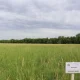 Қазақстандық ғалымдар тозған жайылымдарды қалпына келтіру технологиясын патенттеді