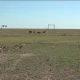 Алматыда 14 гектардан астам пайдаланылмай жатқан жер мемлекет меншігіне қайтарылды