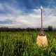 Ұлттық домбыра күніне орай Қазақстанда 2000-нан астам мәдени іс-шара өтеді