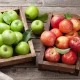 Қызыл алма мен жасыл алманың қайсысы ағзаға пайдалы