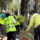 Алматыда жыл басынан бері 238 орында 23 сенбілік өтті