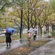 Алматыда жауын-шашынға байланысты коммуналдық қызметтің кезекшілігі күшейтіледі