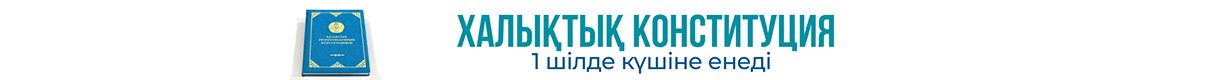 Конституция