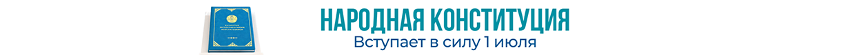 Конституция