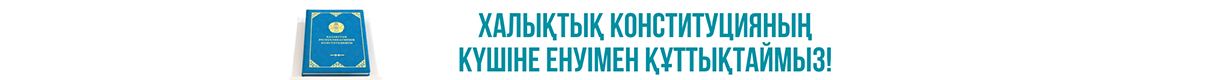 Конституция