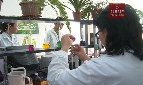 В минздраве Казахстана прокомментировали открытие учеными лекарства против рака