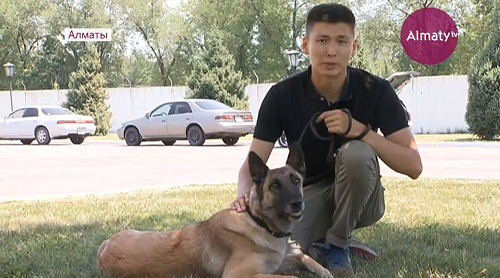 Американские специалисты помогают казахстанским кинологам в обучении собак