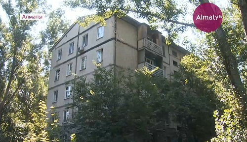 Блохи атаковали жильцов многоквартирного дома в микрорайоне Алматы