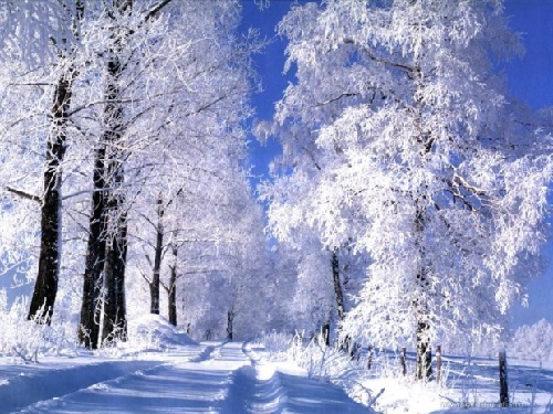 Прогноз погоды с 5 по 11 февраля для Алматы