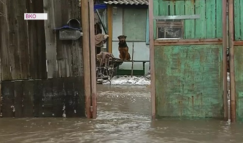 Жителей Семея эвакуируют из-за паводков