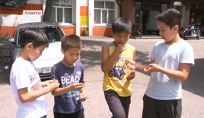 Санэпидемиологи  предупреждают: покупать фрукты на улицах Алматы опасно
