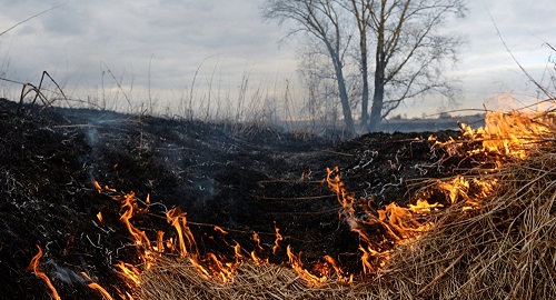 Смог в Усть-Каменогорске: горящий сухостой тушат второй день 