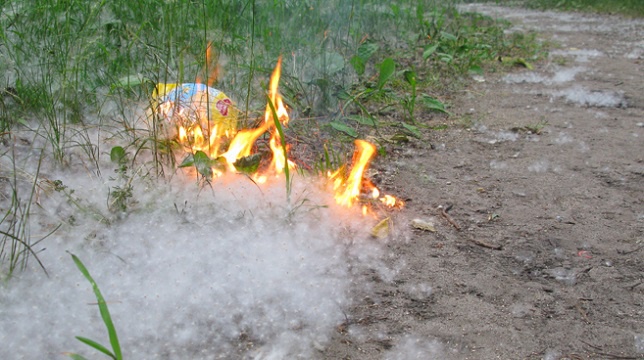  Костанай горит: жители города поджигают тополиный пух