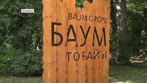 В Алматы благоустраивают рощу Баума