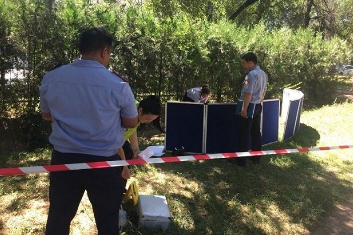 Стали известны обстоятельства смерти девушки, найденной в арыке в Алматы  