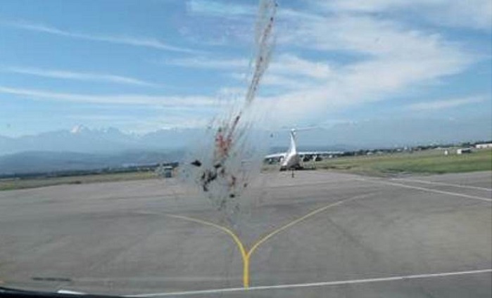 На столкновения самолетов с птицами в аэропортах пожаловалась Air Astana