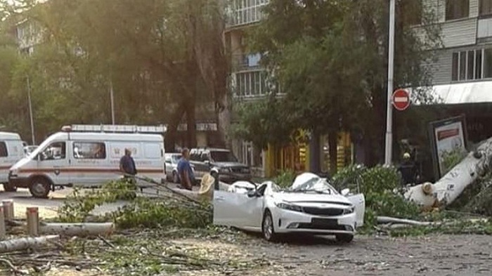 О состоянии пострадавших от упавшего на авто дерева в Алматы рассказали врачи