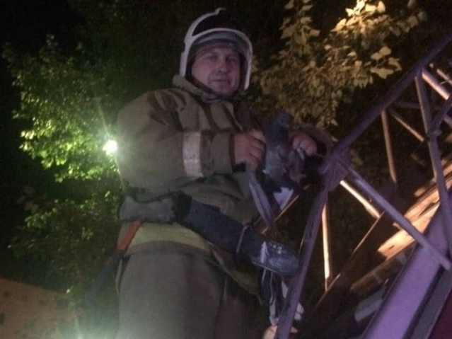 Пожарные спасли запутавшегося в проводах голубя в Усть-Каменогорске