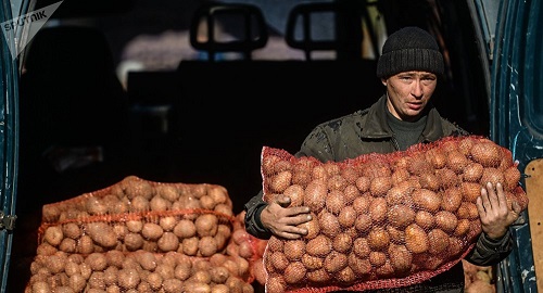 Минсельхоз Казахстана прокомментировал возврат овощей Россельхознадзором