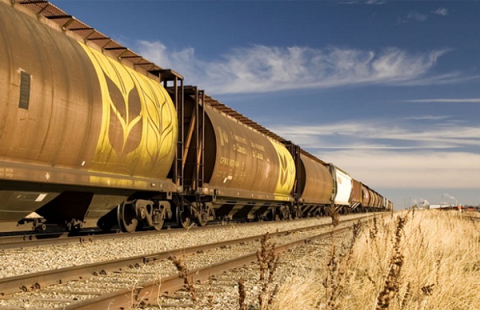 11 млн тонн зерна перевезёт КТЖ на своих поездах