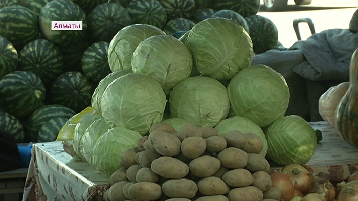 240 тонн продукции везут фермеры на ярмарку в Алматы 