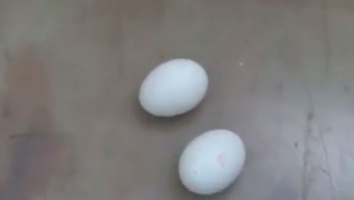 В Усть-Каменогорске гелевые яйца не обнаружены