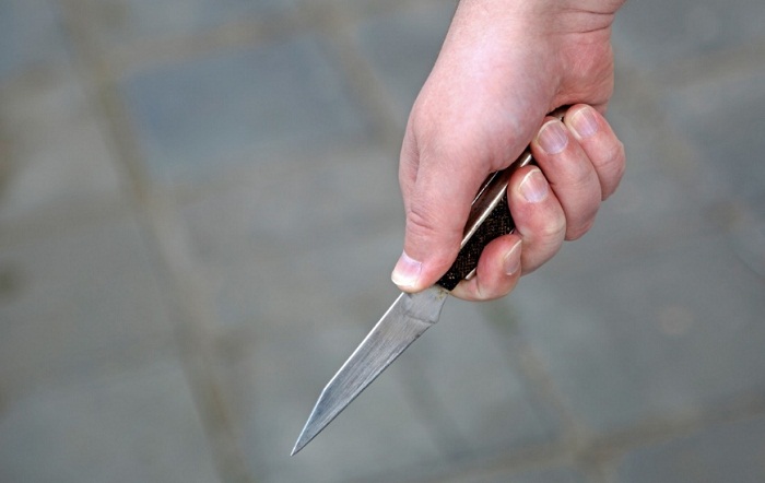 Напавших с ножом на полицейских задержали в Алматы