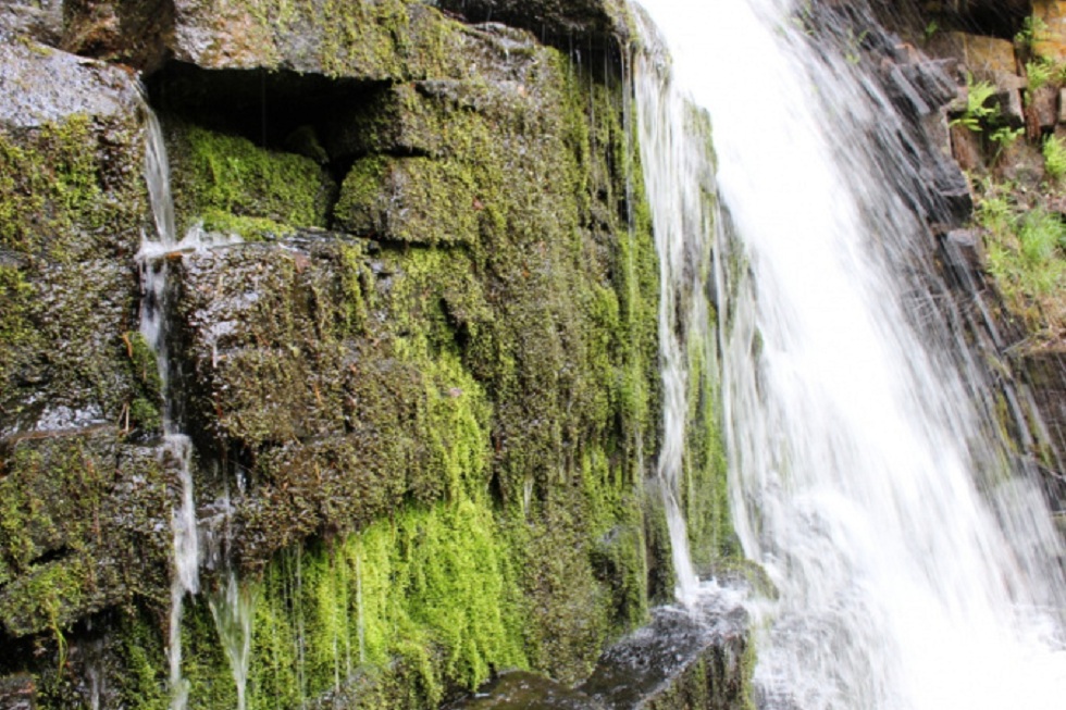Водопад в Зеренде хотят сделать местом паломничества туристов