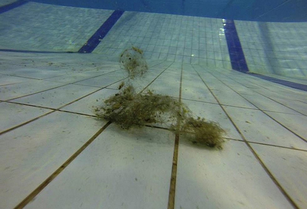 Проверяющие в Алматы обнаружили бассейн с санитарными нарушениями