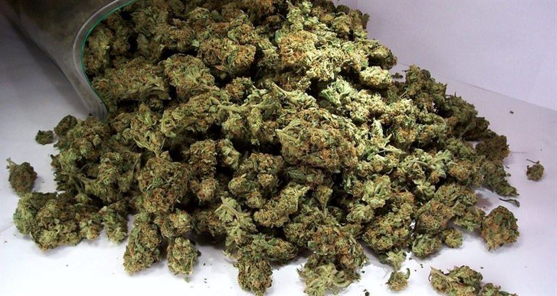 Бизнес не получился: полицейские ВКО задержали семейную пару за продажу марихуаны