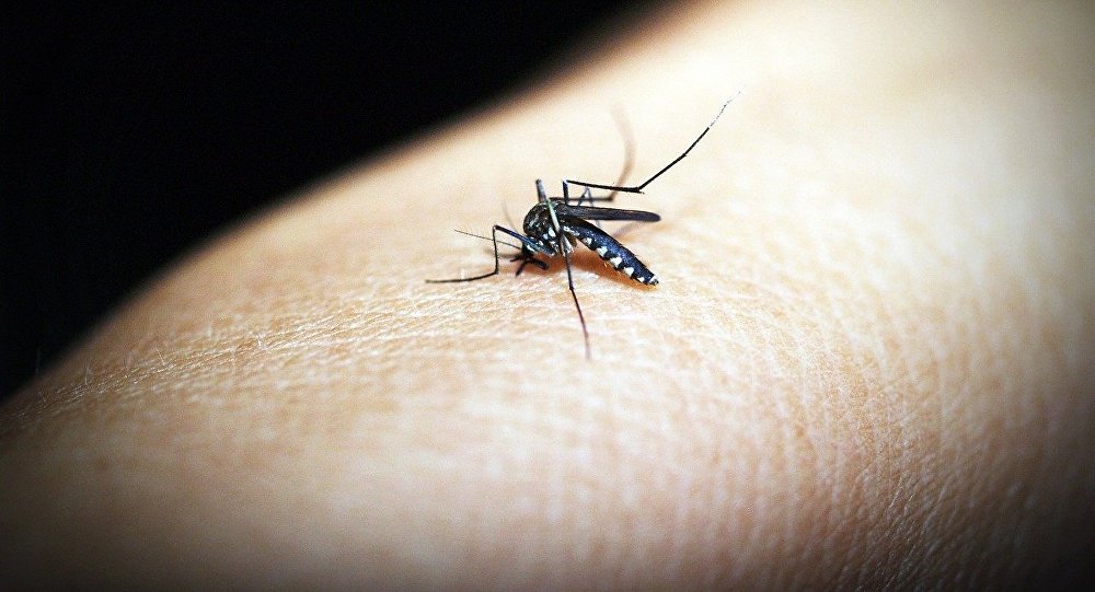Столицу Казахстана атаковали комары
