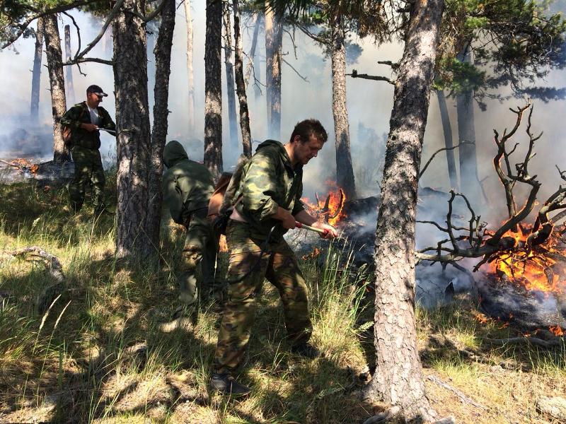 В Боровом горит лес