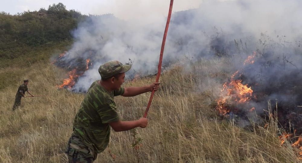 Степной пожар в Алматинской области: есть погибшие