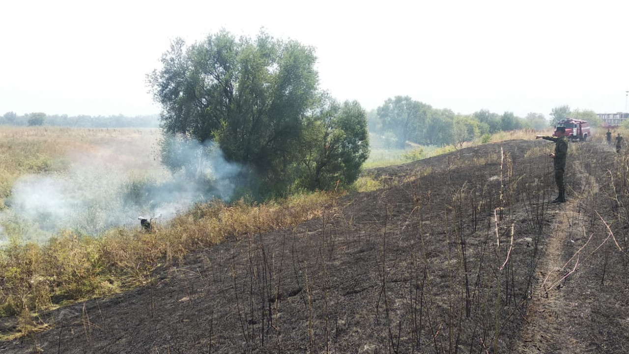 Сухостой горел в Турксибском районе Алматы