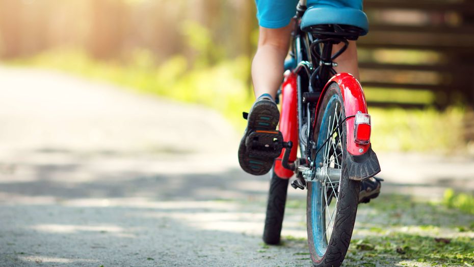 Бесплатные занятия по велоспорту проходят в Алматы для детей старше 9 лет
