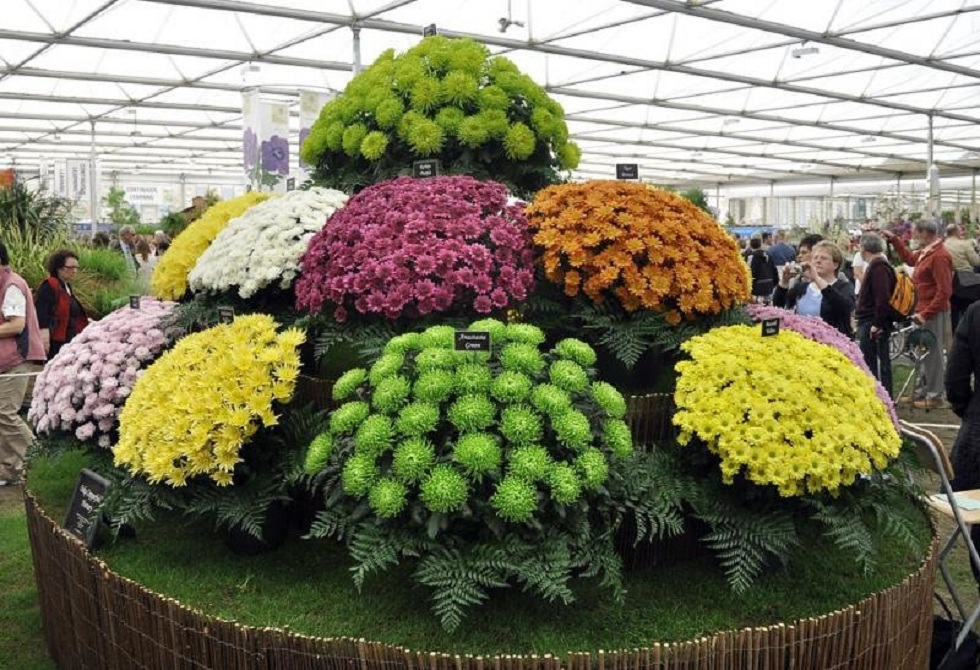 День города: в Алматы пройдет международный фестиваль садов