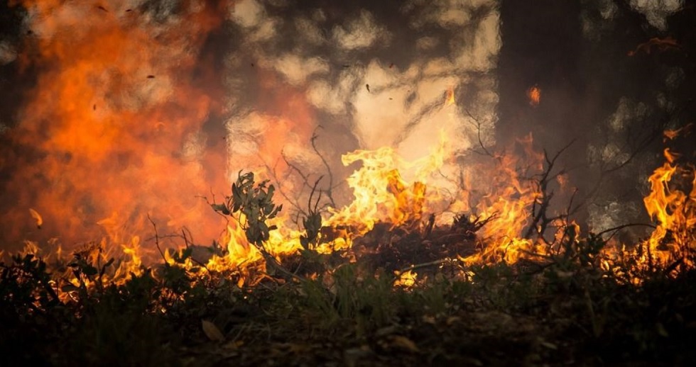 Сильнейший пожар бушует в Баянаульском национальном парке