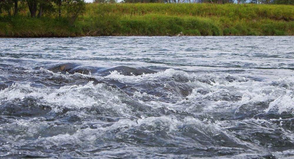 Необычное существо обитает в реке Есентай (видео)