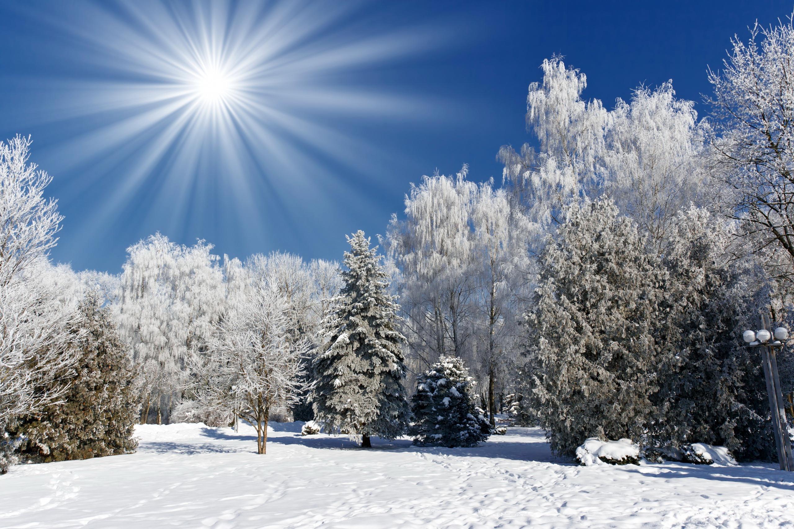 Какая погода ожидается в Казахстане в первый день зимы 