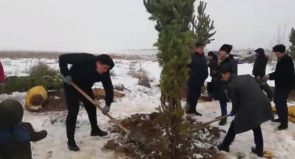 В Алматы стартовала акция по посадке деревьев