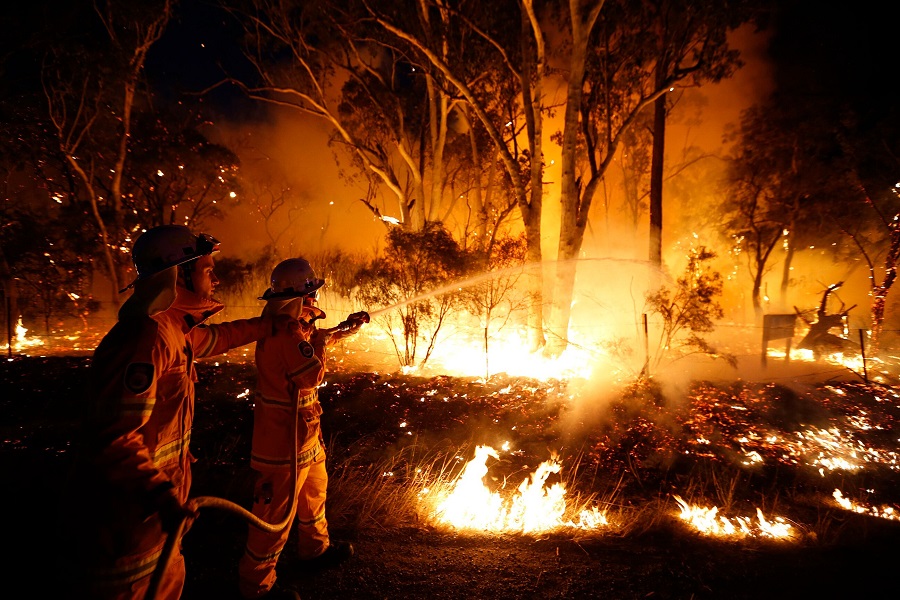 Австралия охвачена огнем: уже уничтожено 4 млн га леса