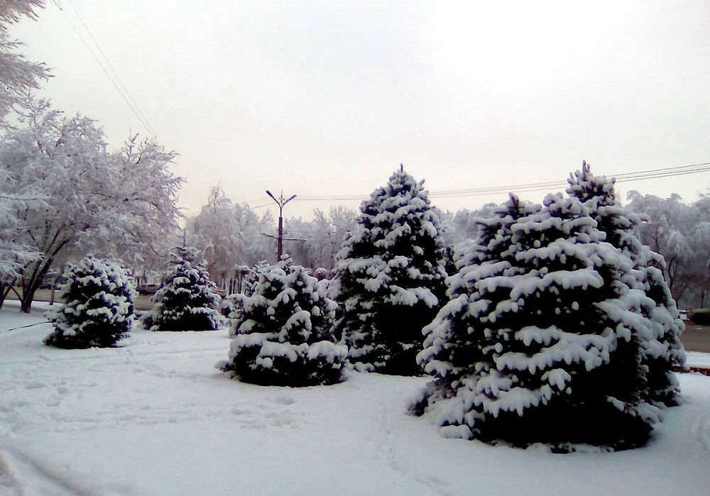 Погода в Алматы с 20 по 26 января 2020