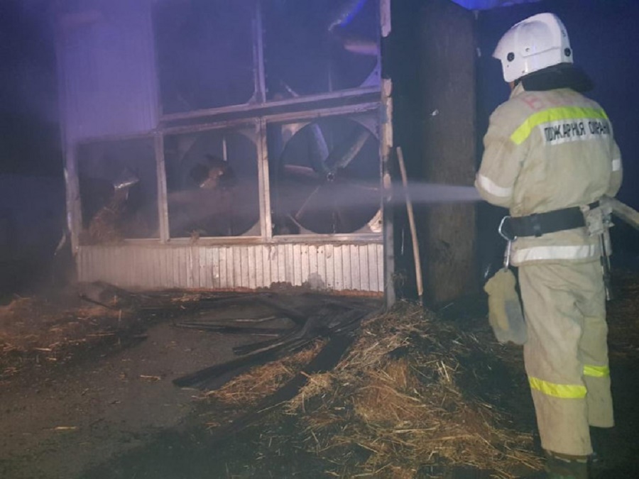 Пожар на птицефабрике в Туркестанской области