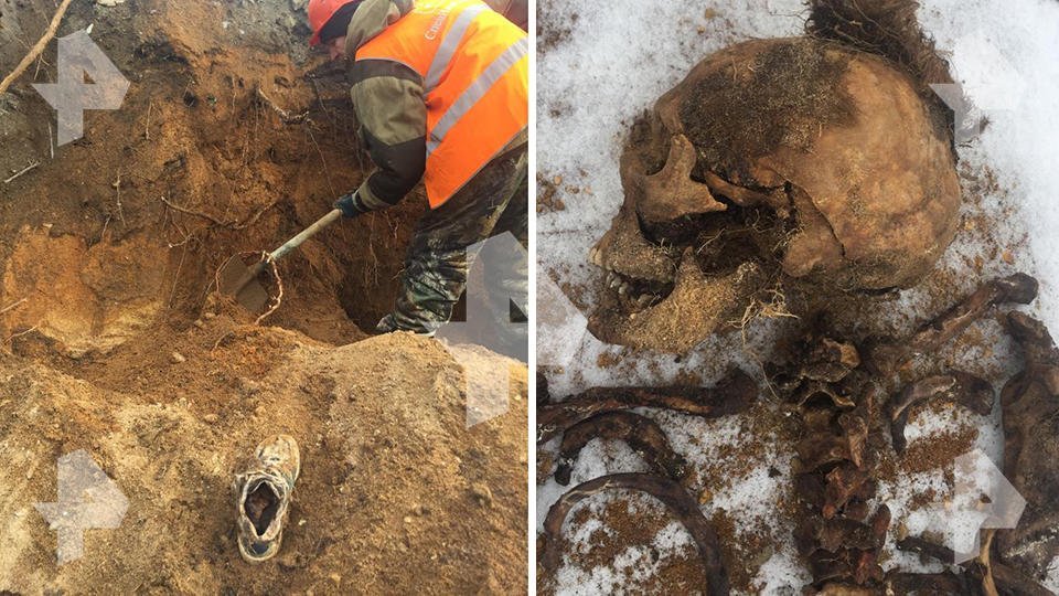 Три скелета нашли при строительстве развязки 