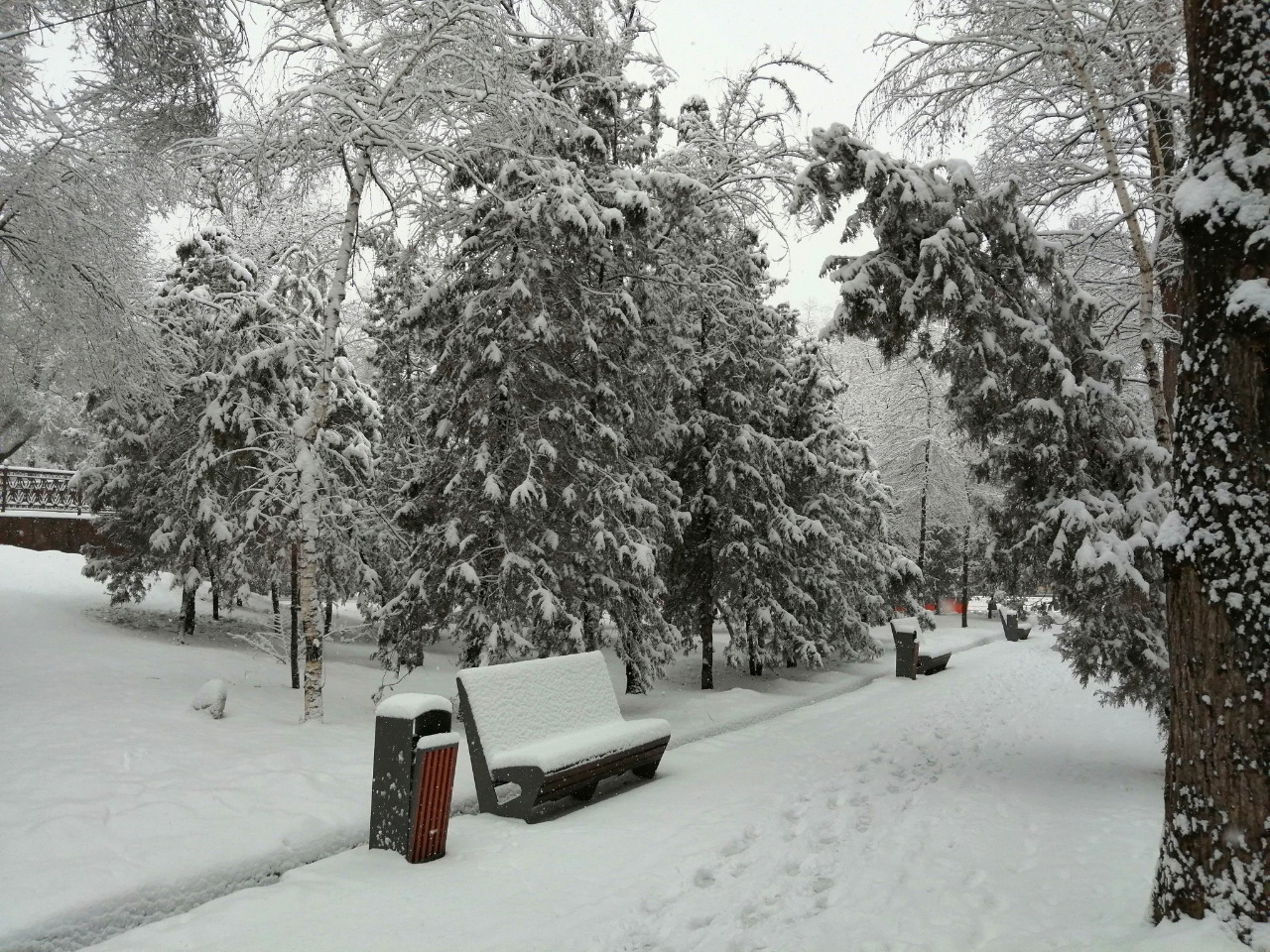 В Алматы и Алматинской области ожидается сильный снег