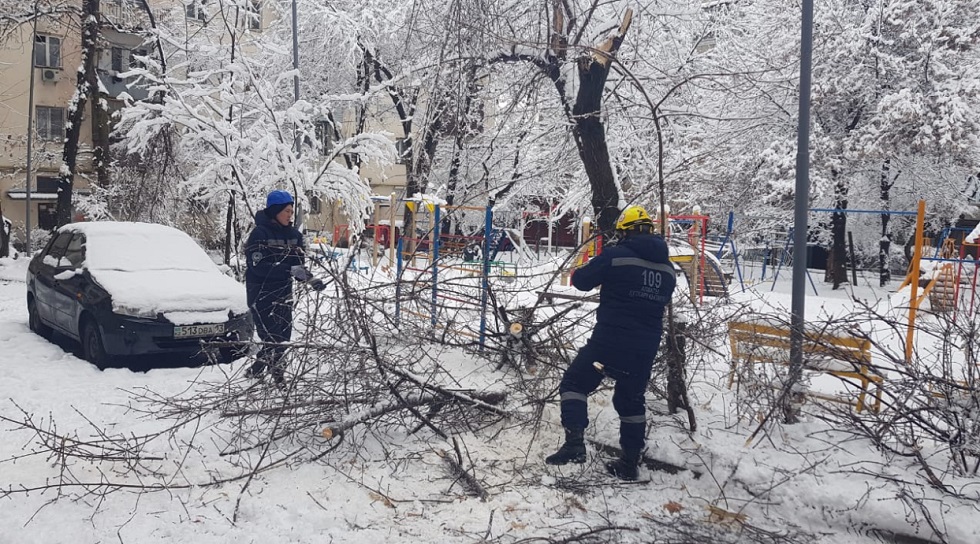 Обильный снегопад в Алматы: в разных районах города произошло падение веток и деревьев