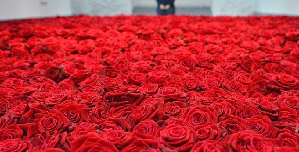 Миллион алых роз: о стоимости дорогого подарка рассказал опытный флорист в Алматы 