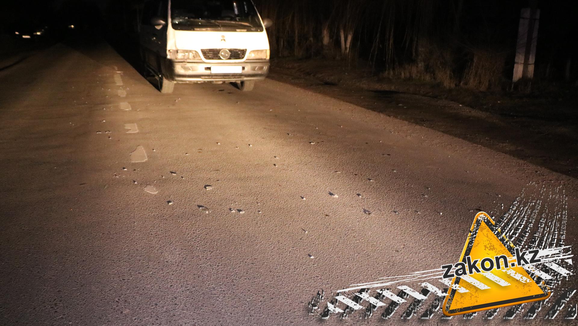 Микроавтобус сбил насмерть пешехода в Алматинской области